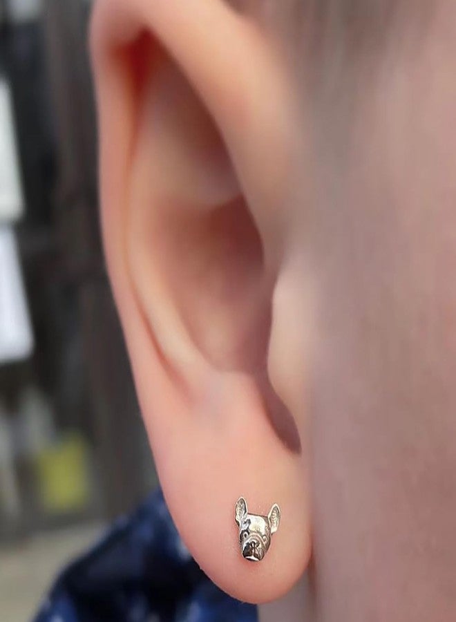 أقراط غضروفية صغيرة بتصميم جرو فرنسي من نياسبي، مقاس 20G، للنساء والرجال، أقراط صغيرة للأذن الداخلية والحلزونية والزنمة، مصنوعة من الفولاذ المقاوم للصدأ (فضية). - Image 2